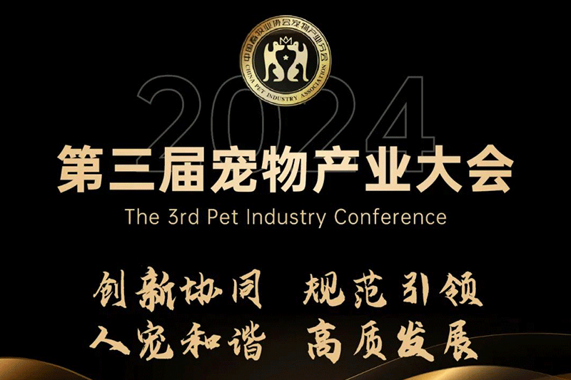 福貝寵食黃莉：時代變軌，用創(chuàng)新贏得市場，用洞察找到增長路徑