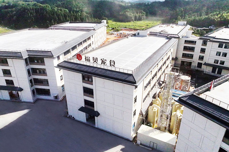 福貝內(nèi)修外練再落一子，聯(lián)合圣農(nóng)解決原材焦慮